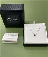 Collana Floriddia Gioielli Donna in Oro bianco Zaffiro 0.47 Ct 57274 COLLANA ZAFFIRO E BRILLANTE - 57274 COLLANA ZAFFIRO E BRILLANTE